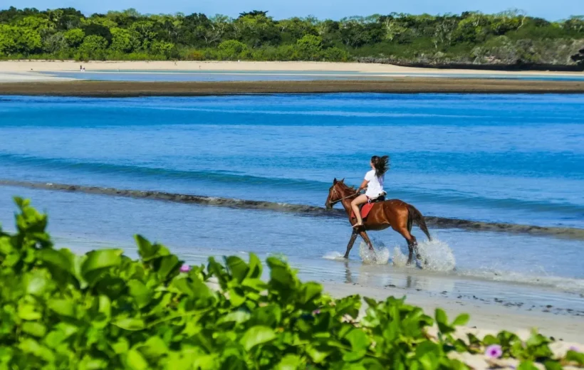 Coral Coast Beach Horse Riding Tour Fiji