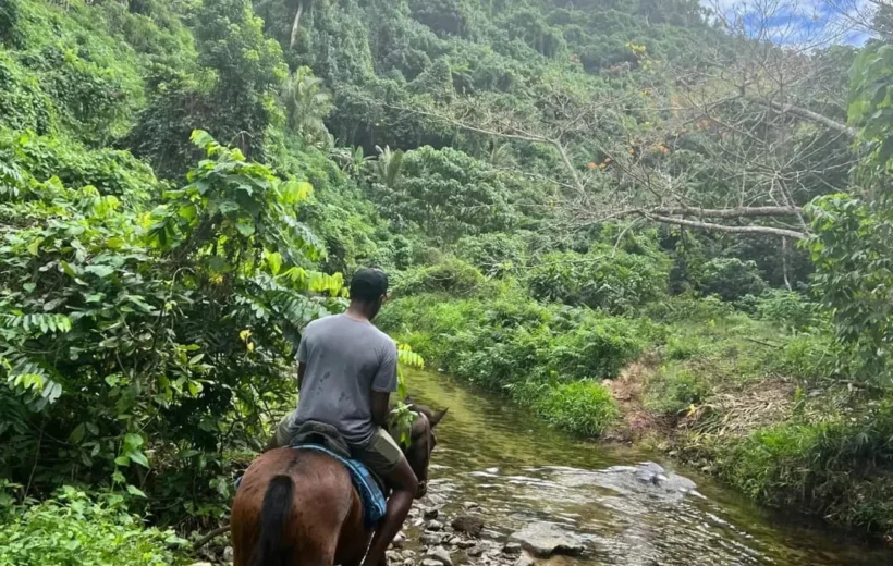 Coral Coast Fiji Mountain View Horse Riding 2026